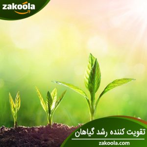 تقویت کننده رشد گیاهان